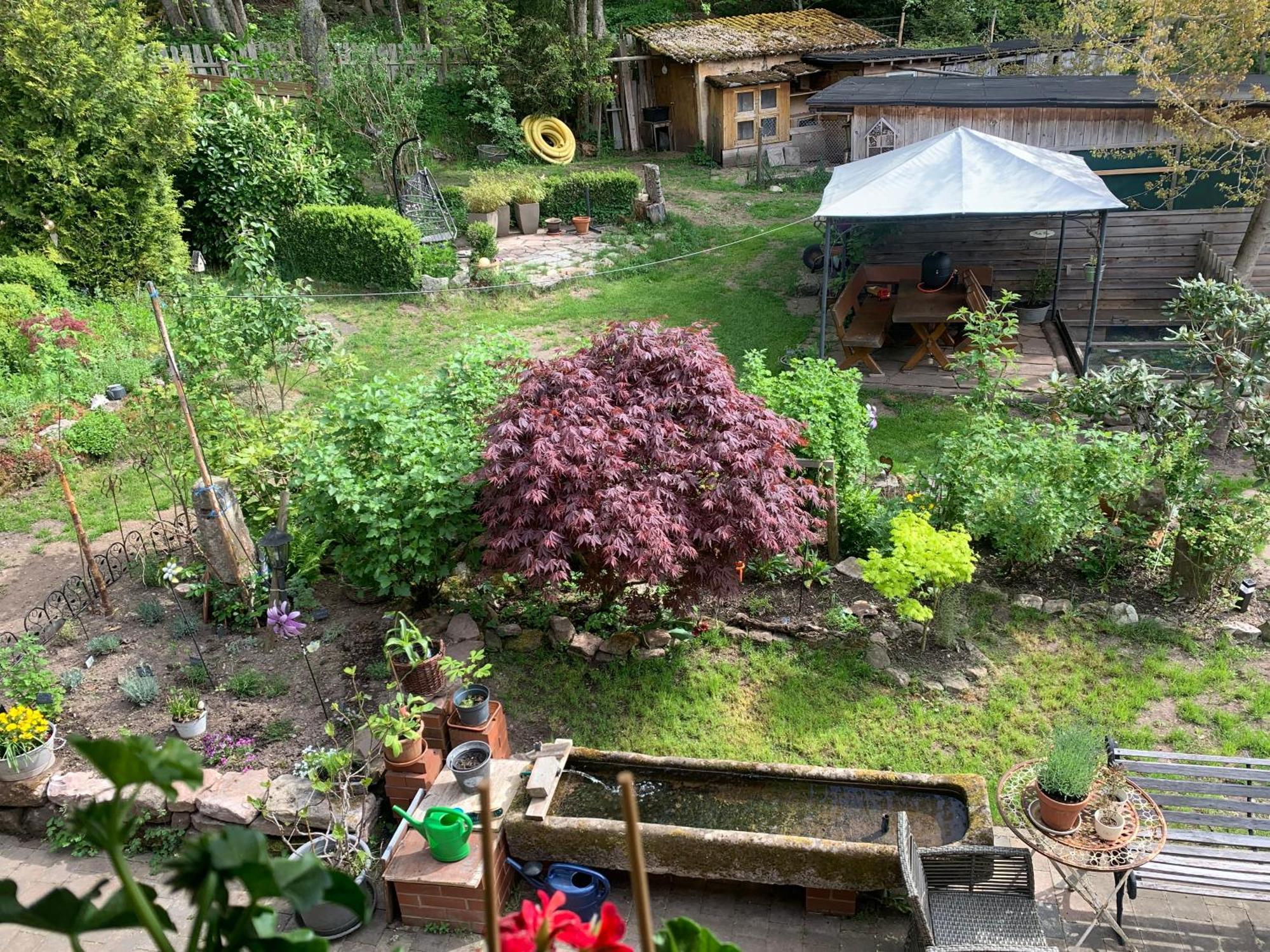 Tarahaus Apartment Sankt Georgen im Schwarzwald Exterior foto
